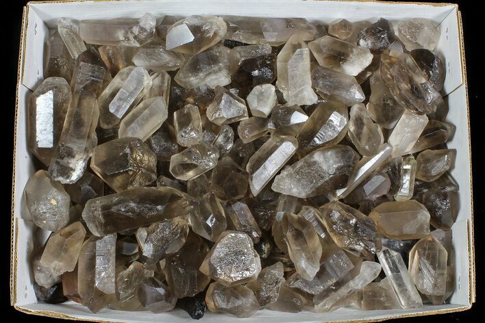 Lot: Lbs Smoky Quartz Crystals (-) - Brazil #77821